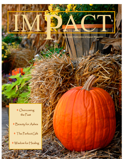 Impact Magazine – November 2011