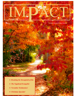 Impact Magazine – November 2012