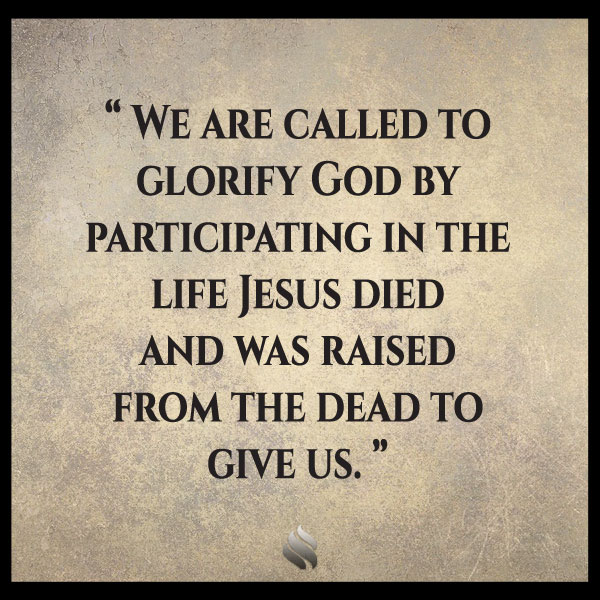 Why do so many people say they believe on Jesus but reject the Bible?