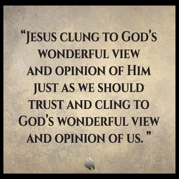 What did Jesus mean when He gave us the glory the Father had given Him?