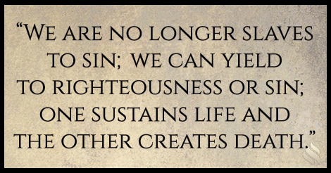 I’m free in Christ; so now what?