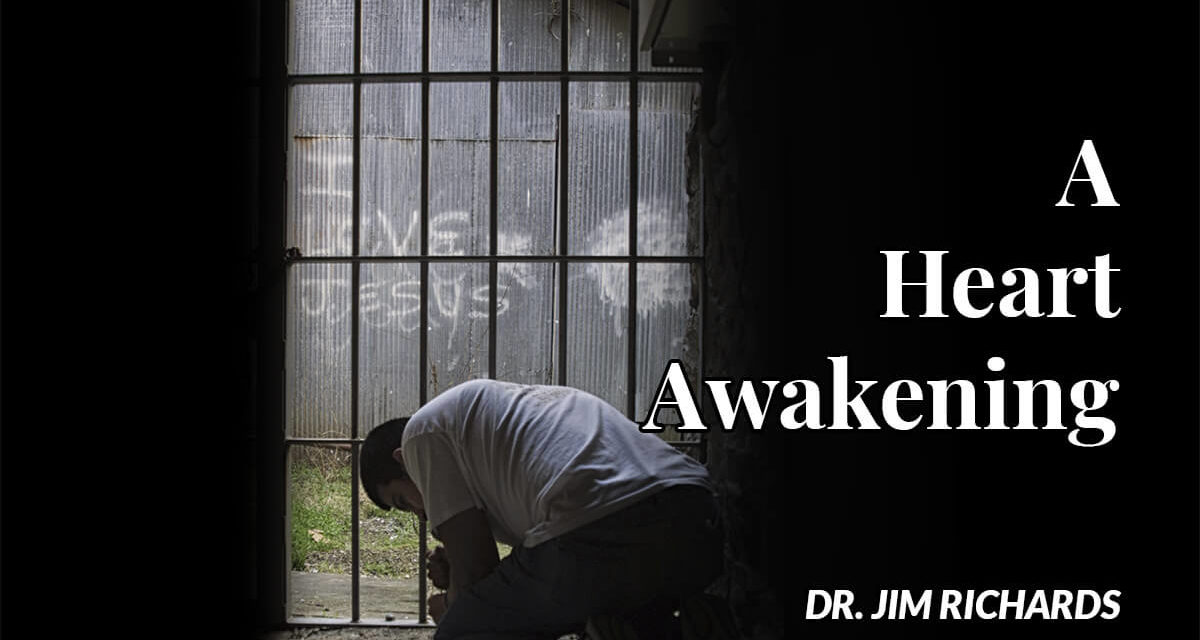 4. Awakening To A Miracle